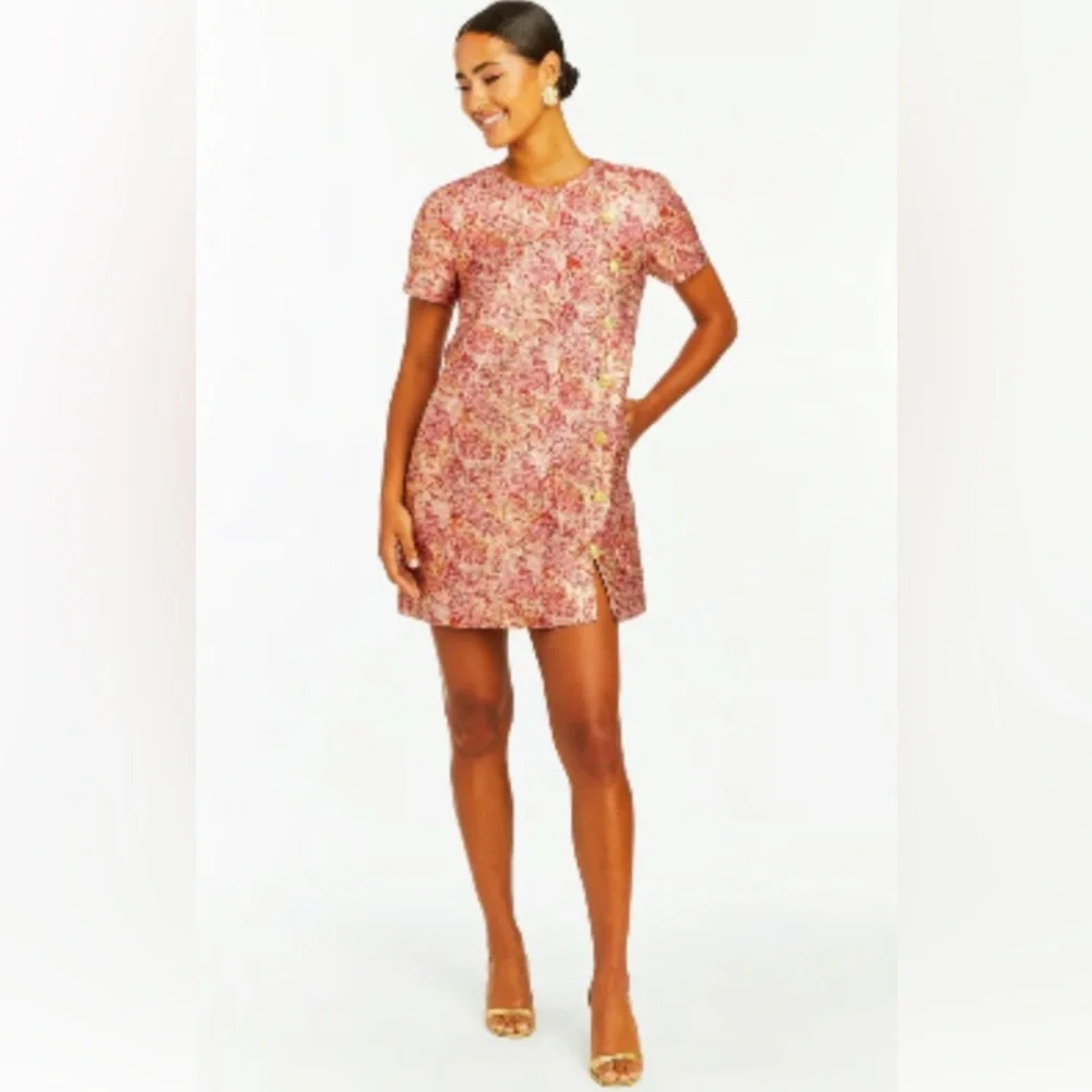 Mestiza New York Isolde Mini Dress Pink Floral Jacquard Shift Size 2 - Picture 2 of 14